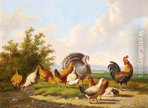 Poultry In A Summer Landscape Oil Painting - Albertus Verhoesen