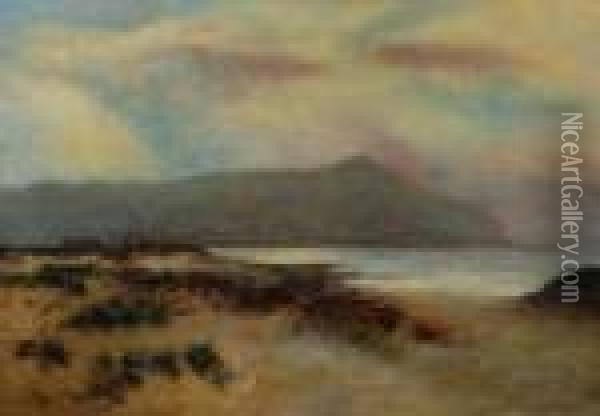Coastalview Oil Painting - Daniel Sherrin