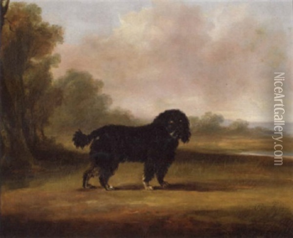 A Water Spaniel In An Open Landscape By A Pond Oil Painting - William Henry Davis