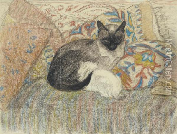 Chatte Siamoise Et Son Chaton Oil Painting - Theophile Alexandre Steinlen