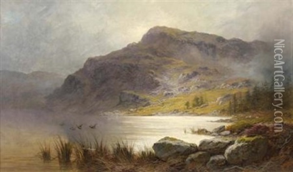 Duck Rising Over A Highland Loch Oil Painting - Charles Stuart
