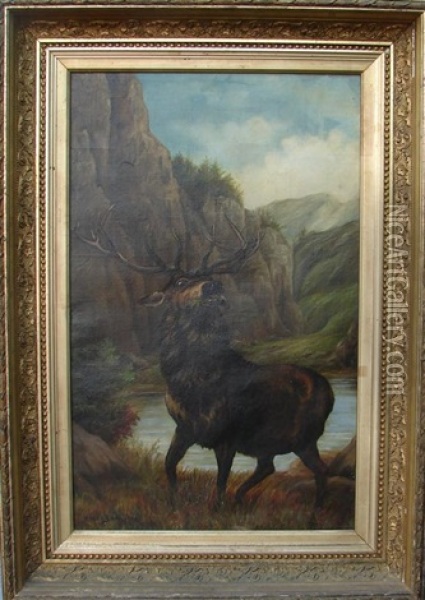Elk By Stream Oil Painting - Rosa Bonheur