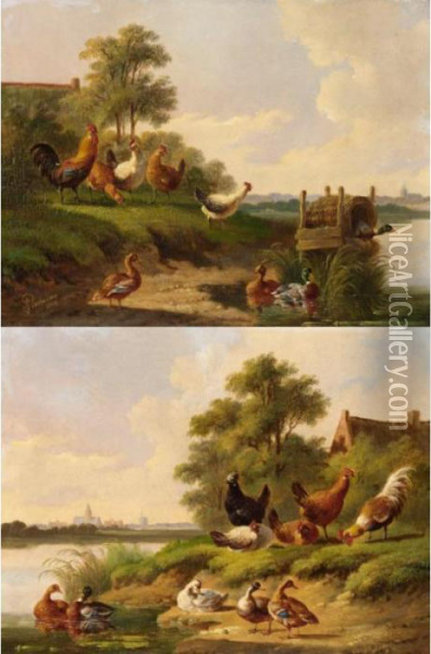 River Landscapes With Chickens And Ducks Oil Painting - Albertus Verhoesen