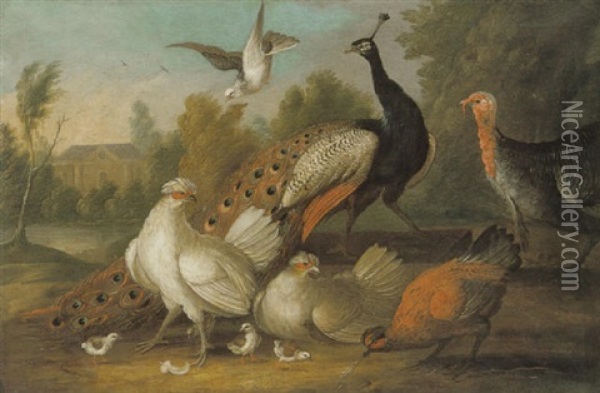 A Peacock And Other Fowl In A Landscape With A House Beyond Oil Painting - Marmaduke Cradock
