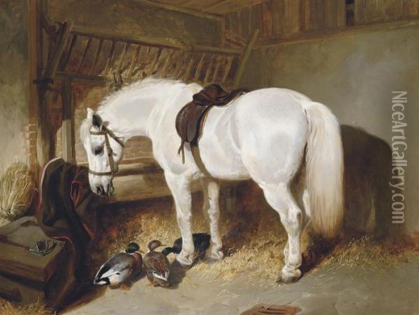 A Grey Pony In A Stable With Ducks Oil Painting - John Frederick Herring Snr