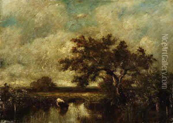 Trees In A Marsh Oil Painting - Jules Dupre