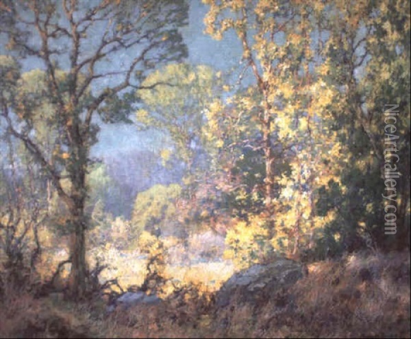 Summer Colors Oil Painting - Maurice Braun