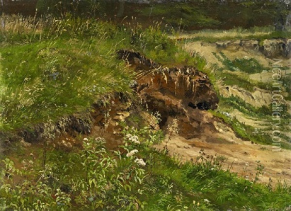 Fuchsbau In Den Dunen. Studie Oil Painting - Thorald Laessoe