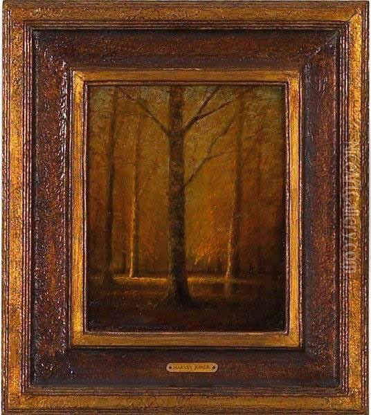 Forest Interior Oil Painting - Harvey Joiner