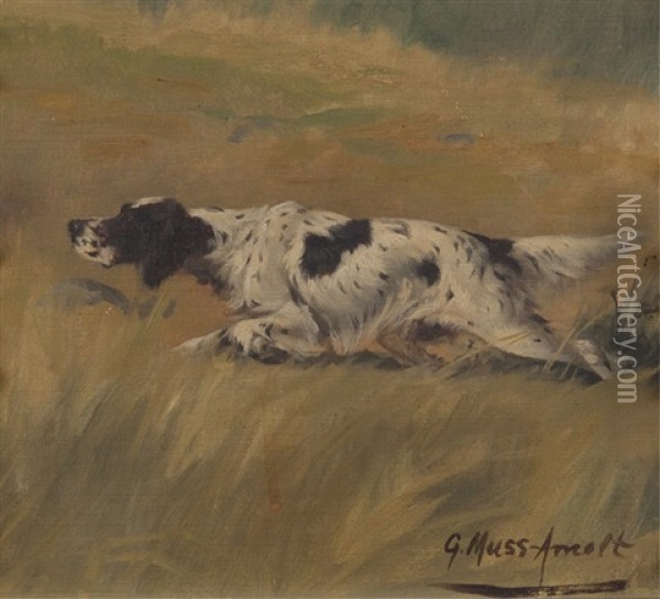 English Setter On Point Oil Painting - Gustav Muss-Arnolt