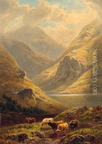 Cattle In A Highland Landscape Oil Painting - William Davies