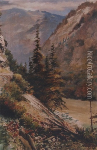 Fraser Canyon Below North Bend Oil Painting - Marmaduke Matthews