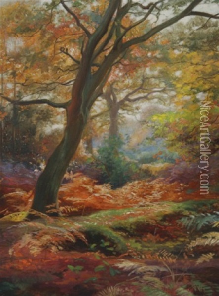 Forest Scene Oil Painting - Charles Ernest Butler