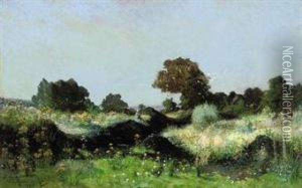 Le Ruisseau Oil Painting - Paul Louis Martin des Amoignes