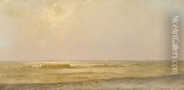 New Jersey Coastline, Seascape With Rolling Waves Oil Painting - William Trost Richards