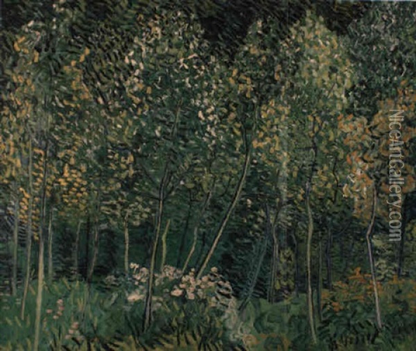 Sous-bois Oil Painting - Vincent Van Gogh