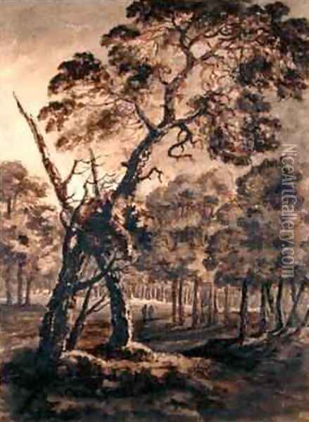 Forest Scene A Giant Scots Fir and Forest Glade Oil Painting - Rev. William Gilpin