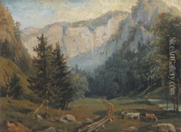 Wasserfall (totes Weib) Bei Murzsteg Oil Painting - Franz Reinhold