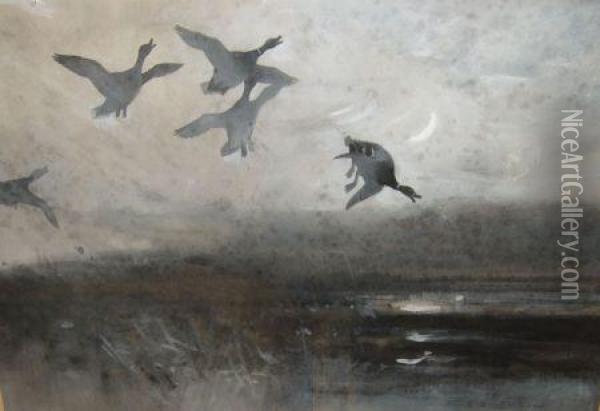 Interrupted Flight Oil Painting - Frank Southgate