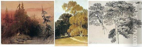 An Album Of Drawings And Watercolours Oil Painting - James Duffield Harding
