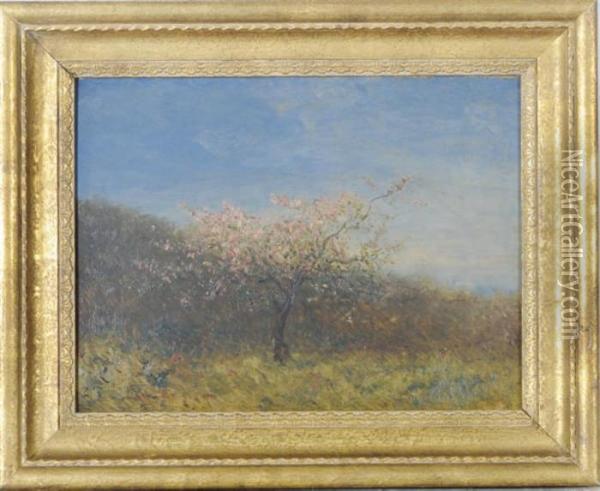 Pecher En Fleurs: A Peach Blossom Tree In A Landscape Oil Painting - Felix Ziem