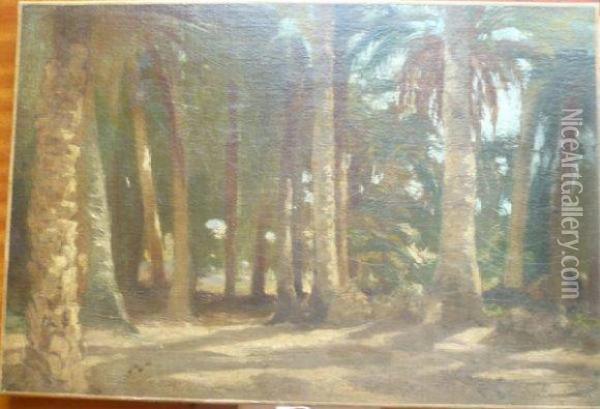 Etude De Palmeraie. Oil Painting - Georges Washington