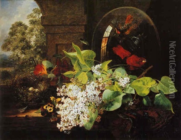 Still Life Of Blossom And Birds Of Paradise Oil Painting - Edward Ladell