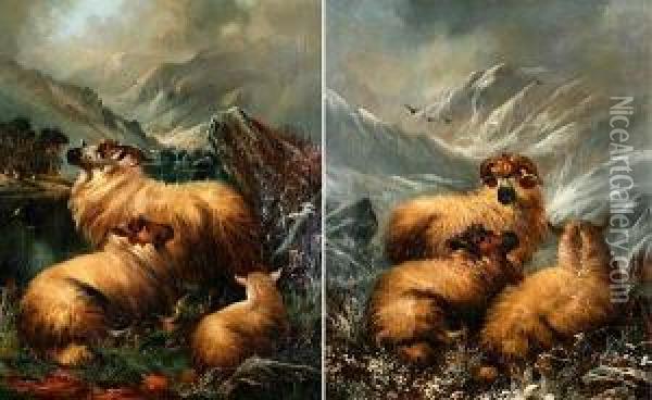 Ram, Ewe And Lamb On A Snowy Hillside Inwinter Oil Painting - Alfred Morris