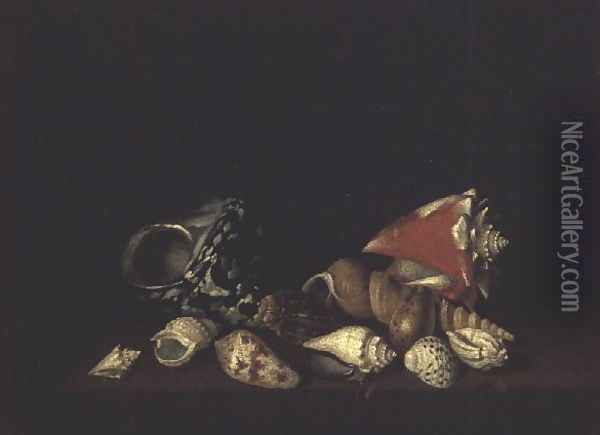 Still Life of Shells on a Ledge 2 Oil Painting - Louis Hubner