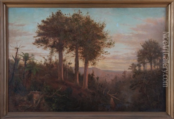 Bush Scene With Kauris And Nikau Oil Painting - Trevor Lloyd