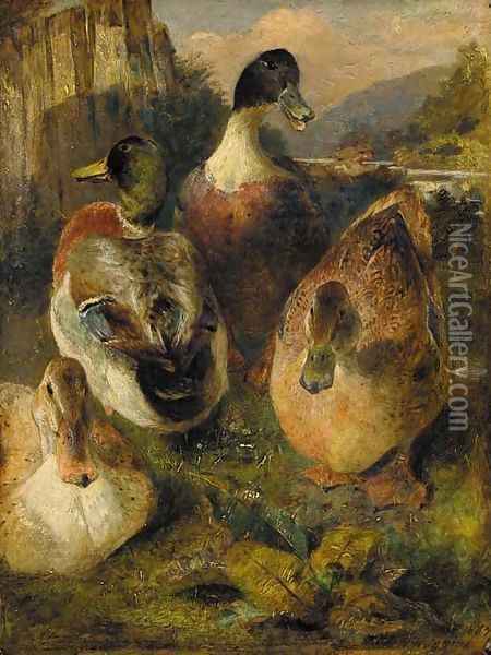 Study of Mallards Oil Painting - William Huggins