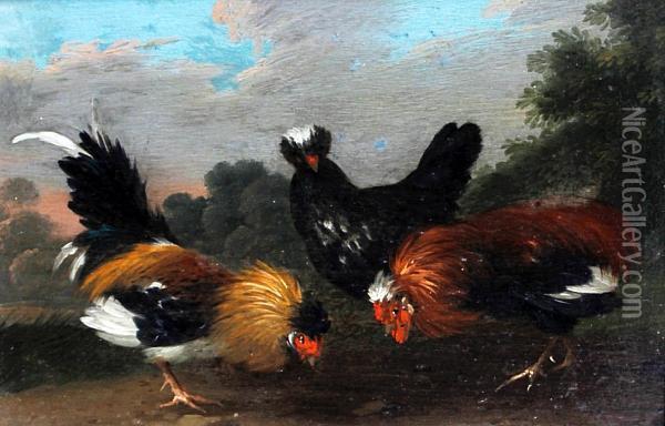 Cockerels And Hens In A Landscape Oil Painting - Marmaduke Cradock