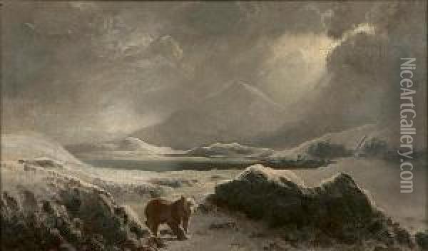 A Polar Bear In The Arctic Oil Painting - William Bradford