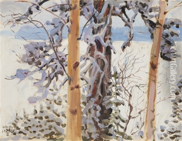 Winter Landscape From Ruovesi Oil Painting - Akseli Valdemar Gallen-Kallela