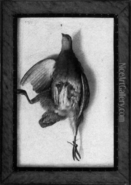 A Still Life Of A Dead Bird Oil Painting - Cornelis (Bilcius) Biltius