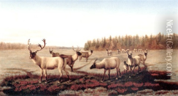 Caribou Oil Painting - William Jacob Hays the Elder