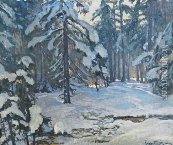 Snieg Oil Painting - Stefan Filipkiewicz