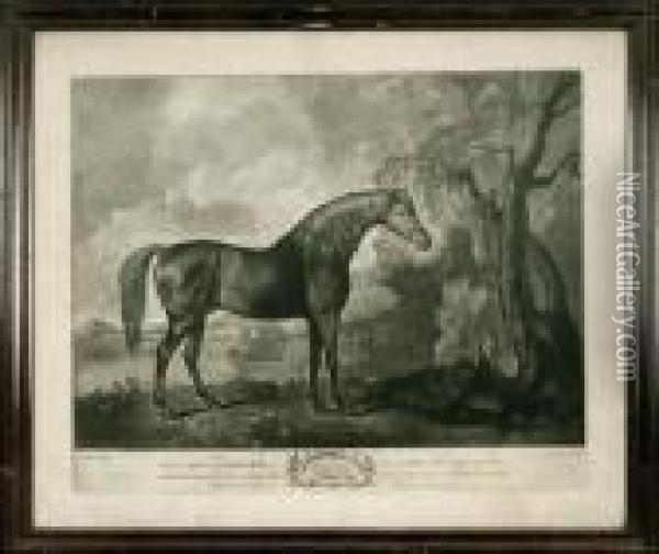 Brown Horse Mask Oil Painting - George Stubbs