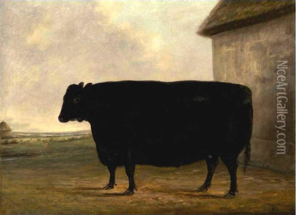 Mr. Mccombie's Prize Aberdeenshire Ox Oil Painting - James Blazedy