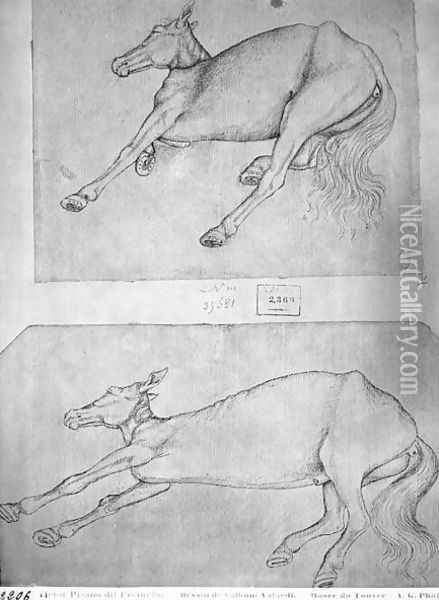 Dead horses, from the The Vallardi Album Oil Painting - Antonio Pisano (Pisanello)