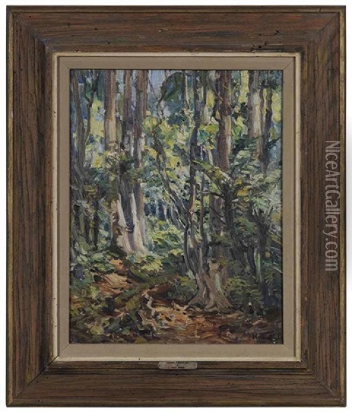 Knysna Forest Oil Painting - Pieter Hugo Naude