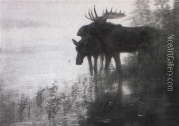 Moose Bull And Cow Oil Painting - Edwin Willard Deming