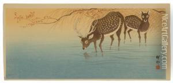 Spotted Deer In Water. Oil Painting - Ohara Koson