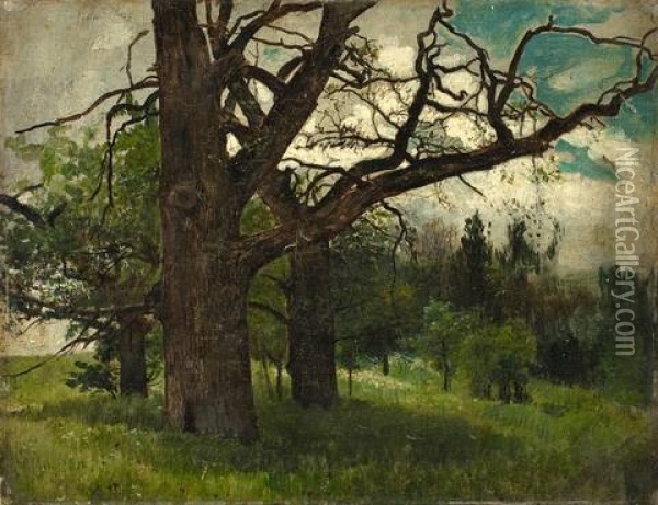 Baume Im Park Oil Painting - Karl Buchholz