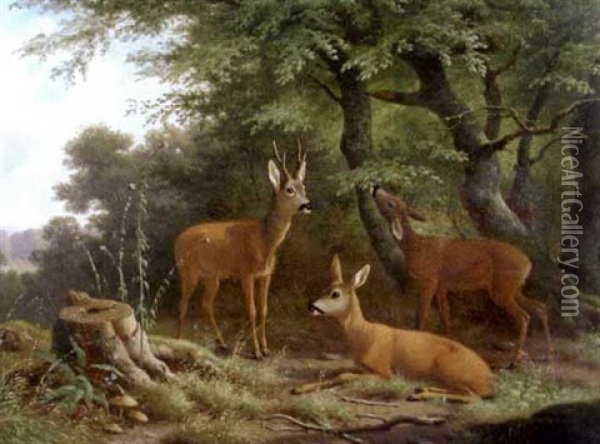 Roe Deer In Woodland Oil Painting - Wilhelm Reinhardt