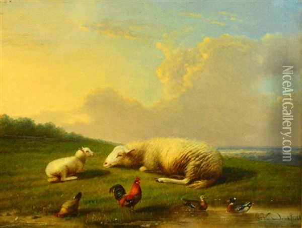 Rural Landscape With Sheep, Lamb, Hen And Ducks In The Foreground Oil Painting - Franz van Severdonck