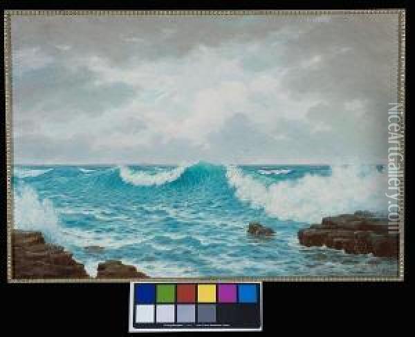 Seascape Oil Painting - Jan Ernst Abraham Volschenk