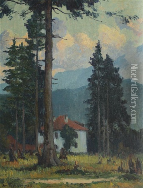 Landscape From Predeal Oil Painting - Stefan Popescu