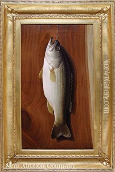 Nature Morte: Largemouth Bass Oil Painting - Hal Alexander Courtney Morrison
