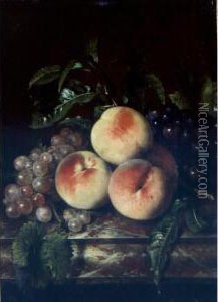 Still Life Of Grapes And Peaches On A Marble Ledge Oil Painting - Willem Frederik van Royen